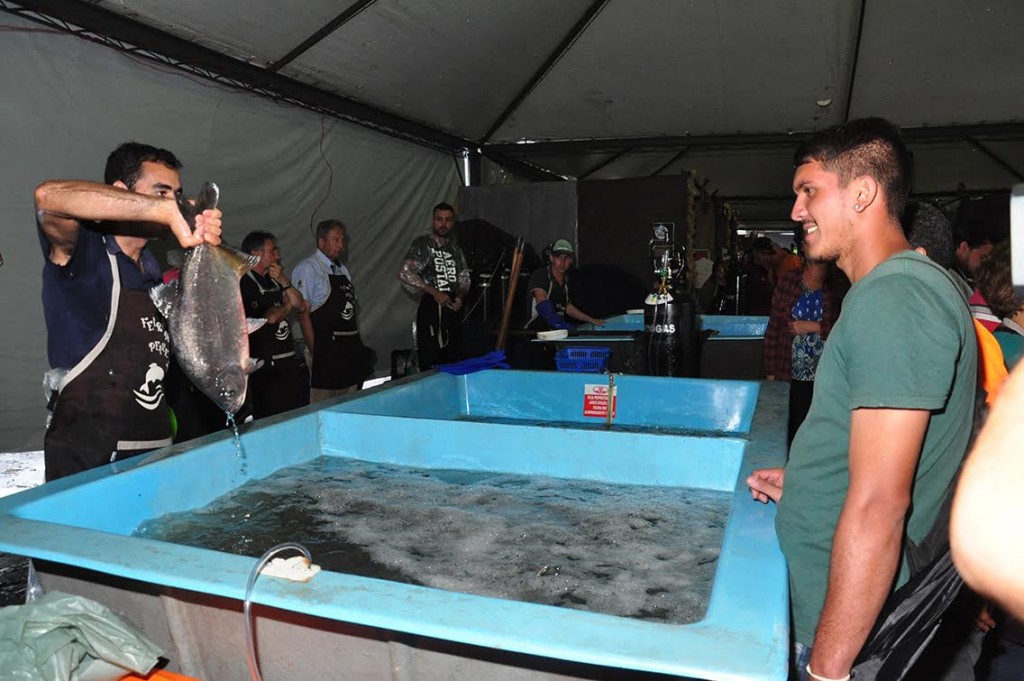 Feira do Peixe 2016