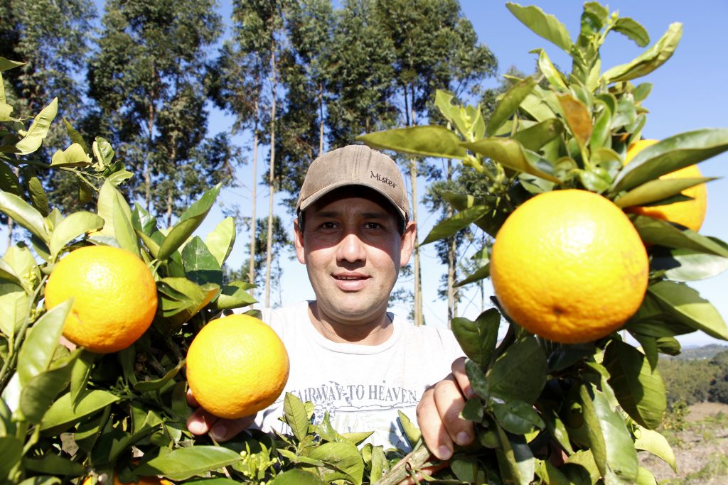 O Governo do Estado lançou nesta quinta-feira (10), na região dos Campos Gerais, o projeto Renda Agricultor Familiar, uma nova ação do programa Família Paranaense, que até 2019 alcançará 5.600 famílias que moram em áreas rurais em todo o Paraná. Foto: Aliocha Maurício/SEDS