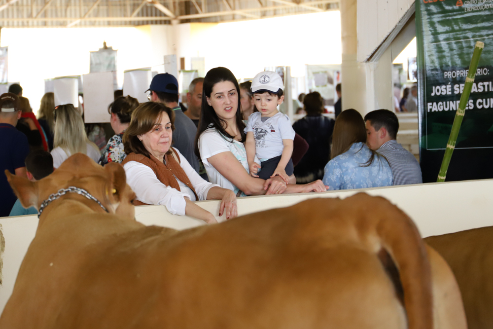 Feira Paraná terá variedade de raças e grande número de animais