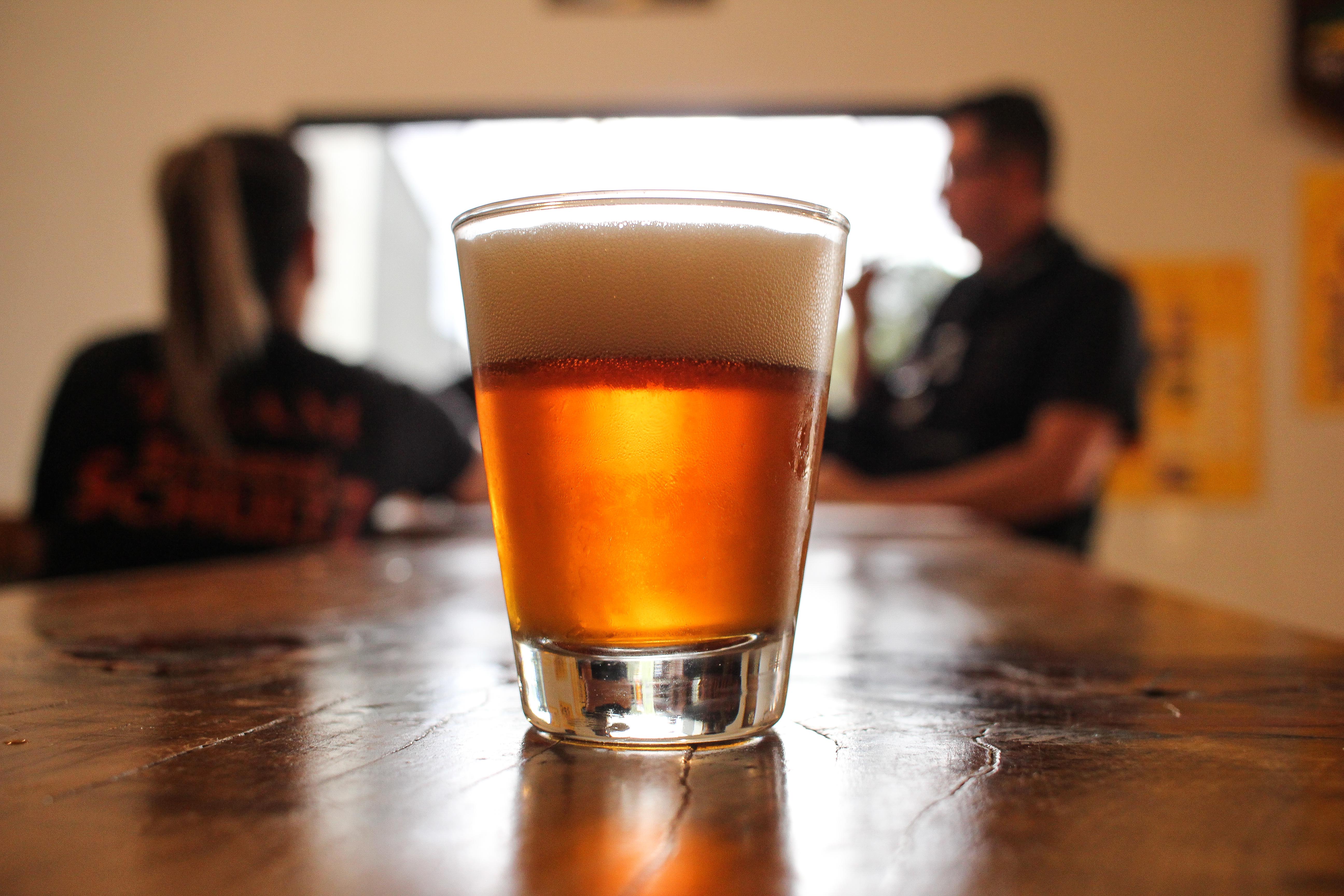 Münchenfest reúne grande variedade de cervejas artesanais e comerciais