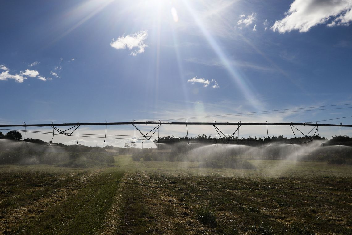 Termina nesta segunda prazo para produtores aderirem ao Refis Rural