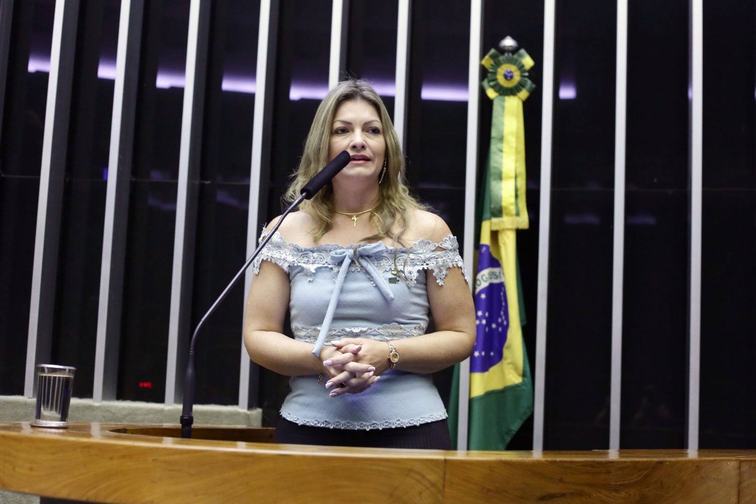 Aline Sleutjes está entre os 11 parlamentares bolsonaristas que tiveram sigilo bancário quebrado pelo STF